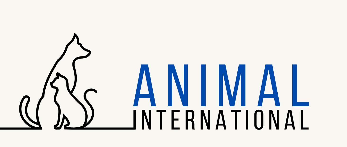 Animal International
